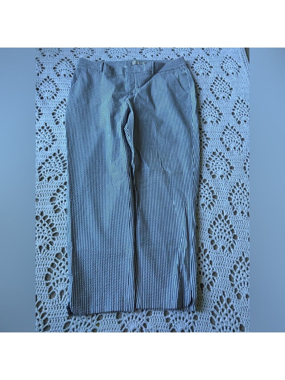 Women’s Ankle Pants A New Day Pinstripe Blue White Silver Size 14 Stretch